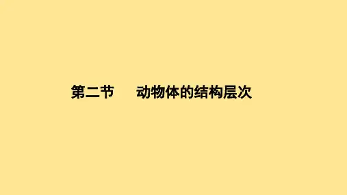 〖生物〗动物体的结构层次课件2024-2025学年人教版生物七年级上册