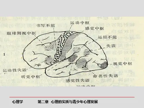 教育综合知识心理的实质文档ppt