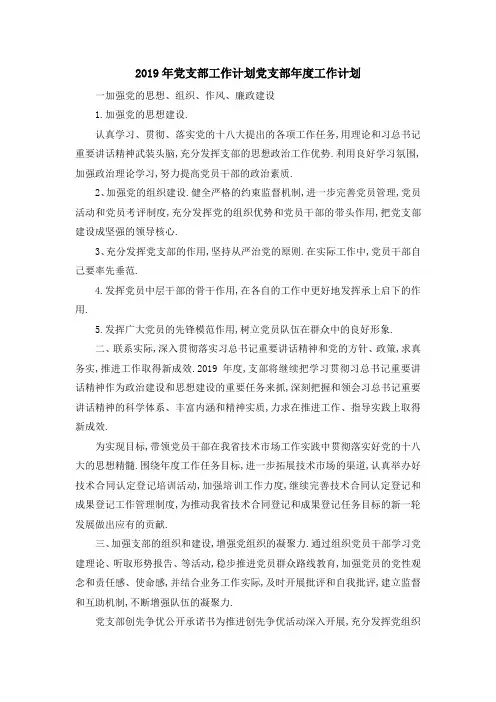 2019年党支部工作计划 党支部年度工作计划 精品