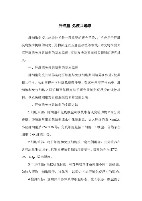 肝细胞 免疫共培养