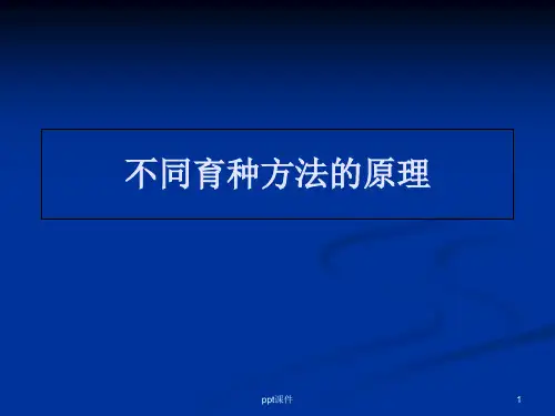 育种专题  ppt课件