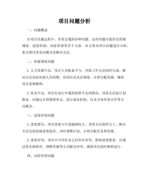 项目问题分析