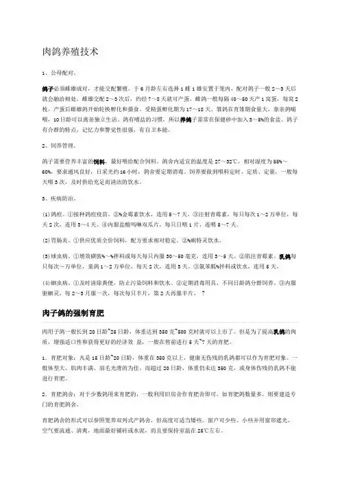 肉鸽养殖技术