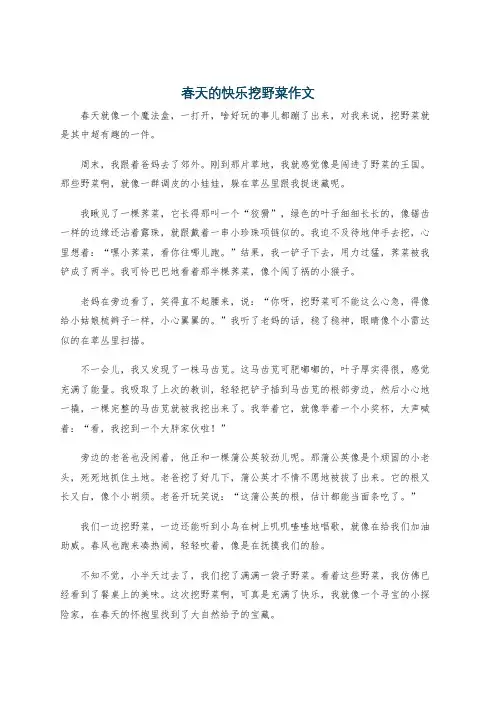 春天的快乐挖野菜作文