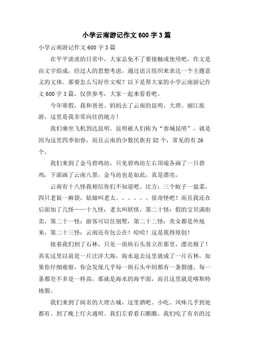 小学云南游记作文600字3篇