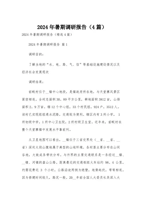 2024年暑期调研报告(4篇)