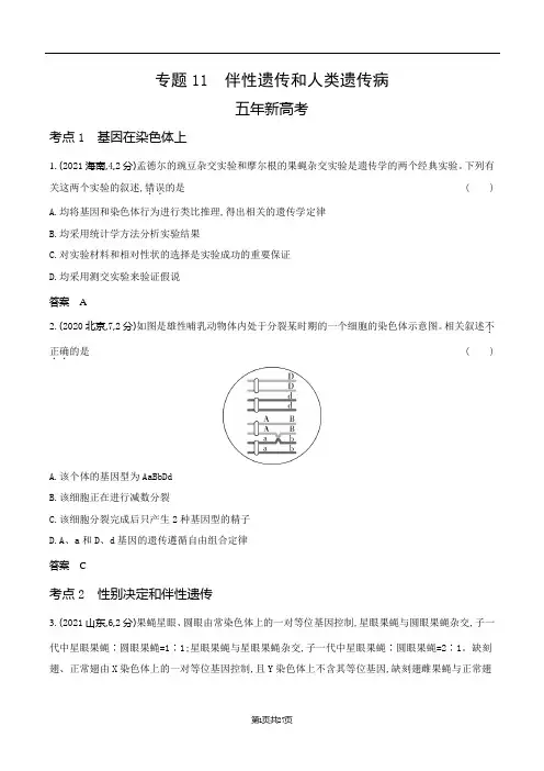 2024山东高考生物第一轮章节复习--专题11伴性遗传和人类遗传病