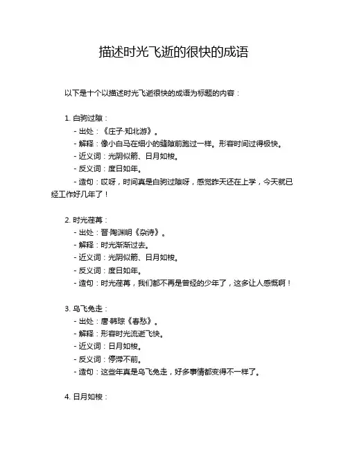 描述时光飞逝的很快的成语
