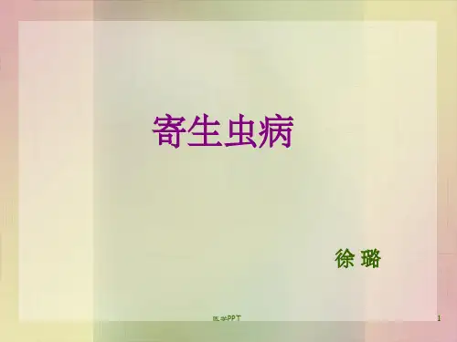 《病理学寄生虫》PPT课件