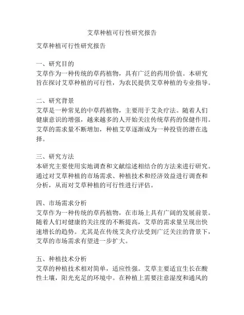 艾草种植可行性研究报告