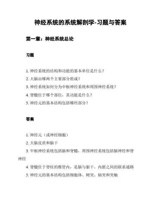 神经系统的系统解剖学-习题与答案
