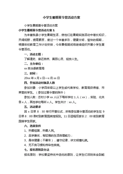 小学生暑期夏令营活动方案