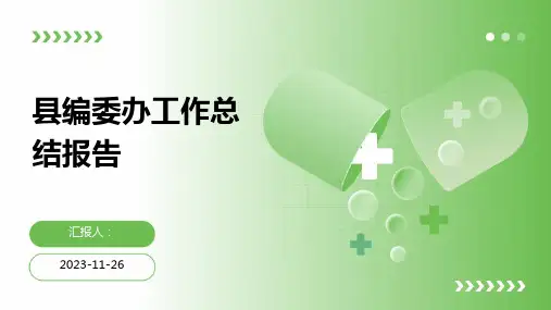 县编委办工作总结报告