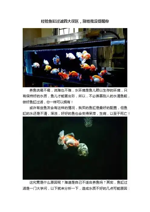 经验鱼缸过滤四大误区，别怪我没提醒你