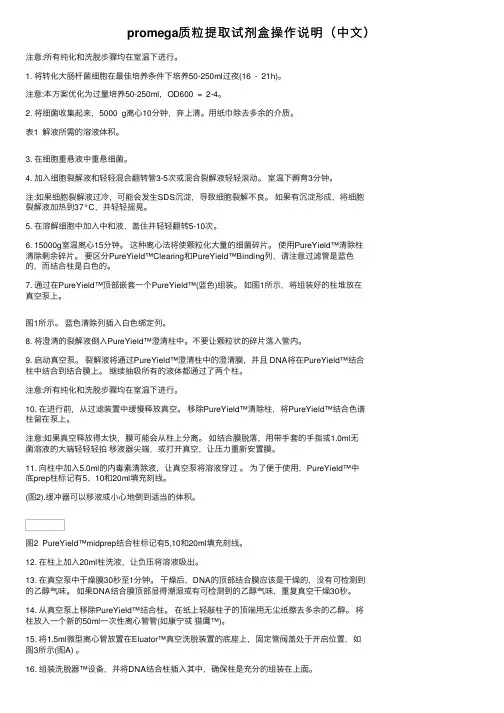 promega质粒提取试剂盒操作说明（中文）