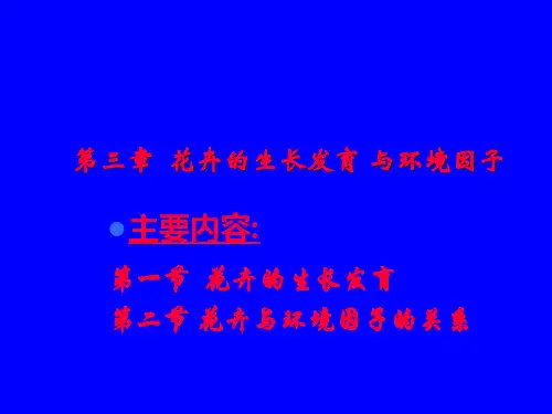 花卉的生长发育
