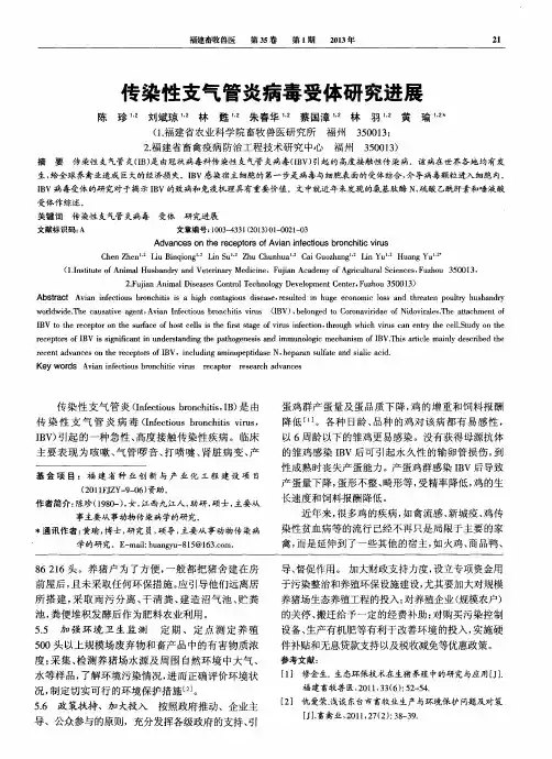 传染性支气管炎病毒受体研究进展