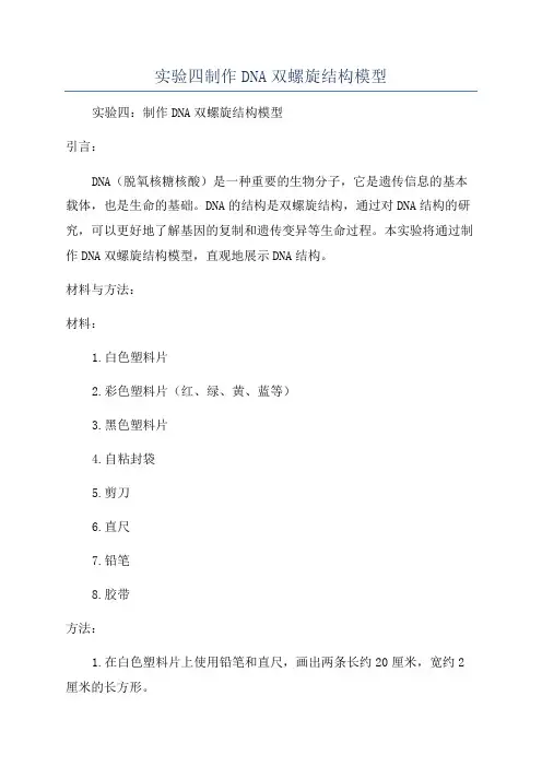 实验四制作DNA双螺旋结构模型