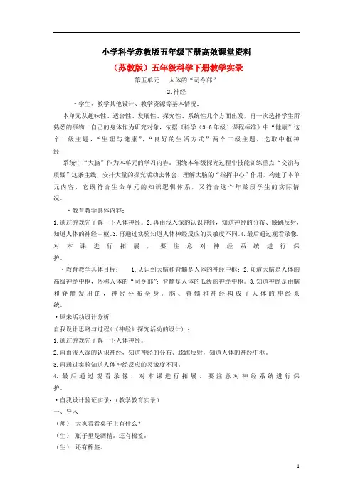 小学科学苏教版五年级下册高效课堂资料《神经》教案2