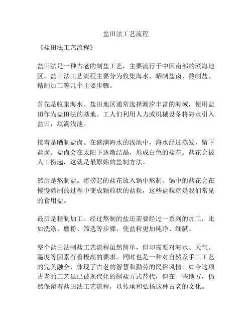 盐田法工艺流程