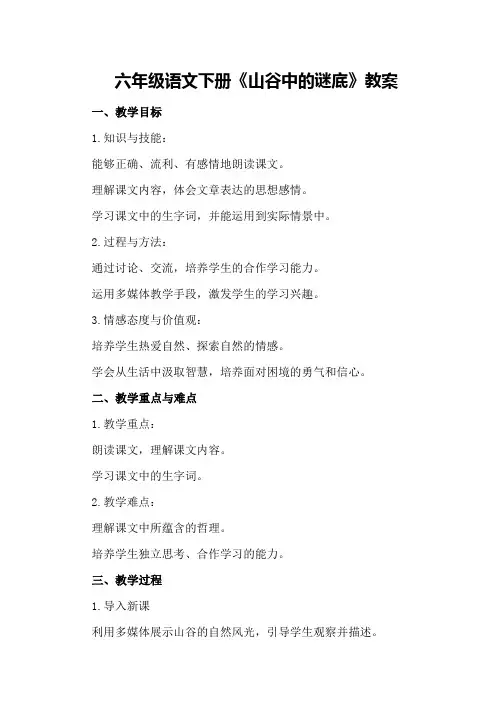 六年级语文下册《山谷中的谜底》教案