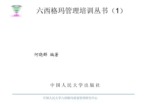 六西格玛及其导入指南(PDF 307页)
