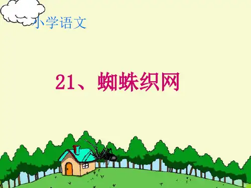 21蜘蛛结网PPT课件