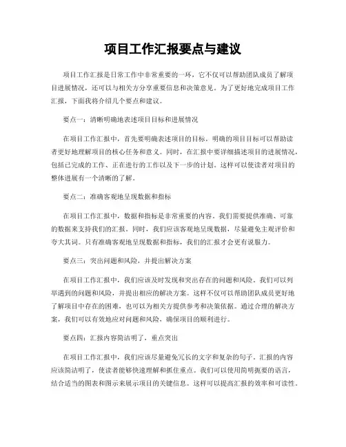 项目工作汇报要点与建议