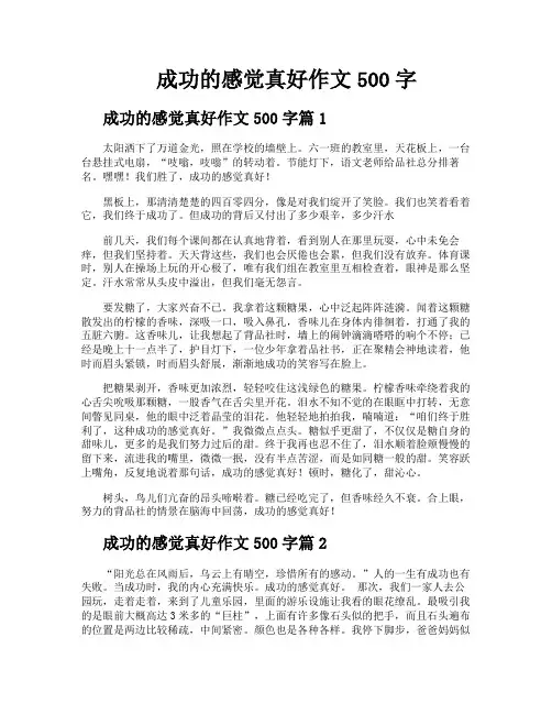 成功的感觉真好作文500字