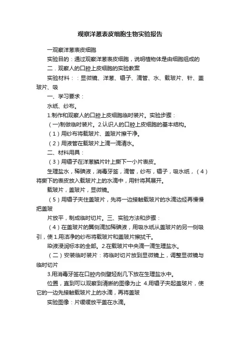 观察洋葱表皮细胞生物实验报告