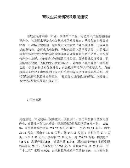 畜牧业发展情况及意见建议