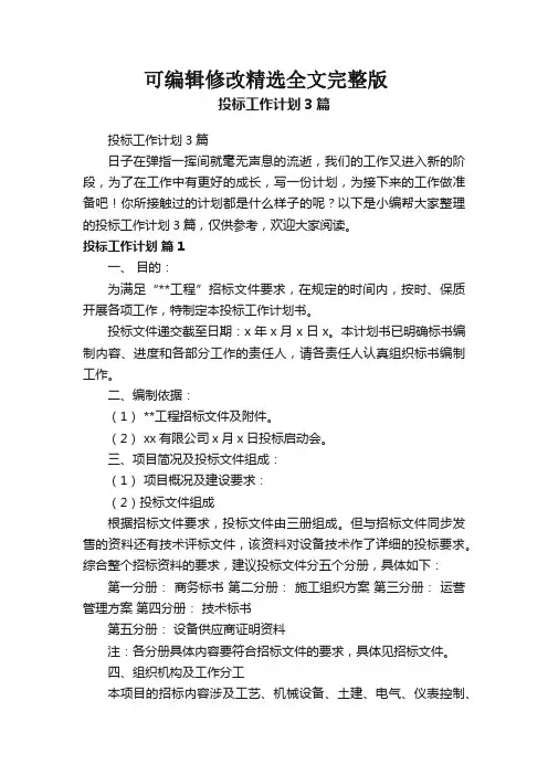 投标工作计划3篇精选全文完整版
