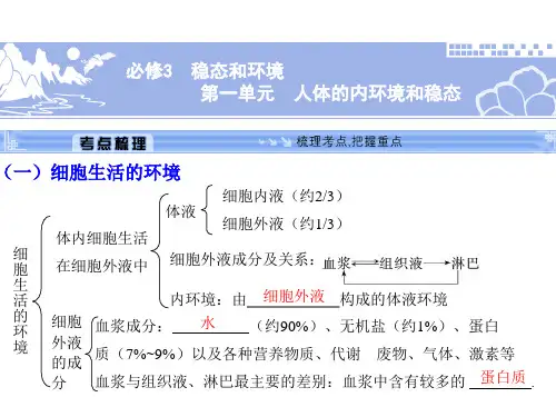 2024届高三一轮复习生物：人体的内环境和稳态课件