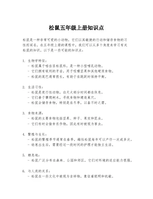 松鼠五年级上册知识点