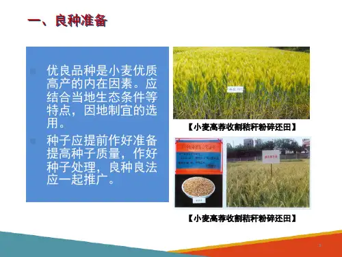 新疆春小麦生产技术—播前准备与播种