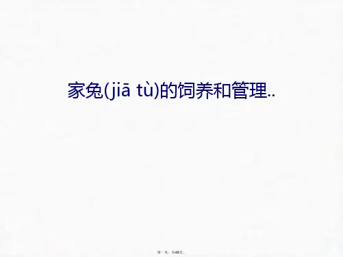 最新家兔的饲养和..教案资料精品课件