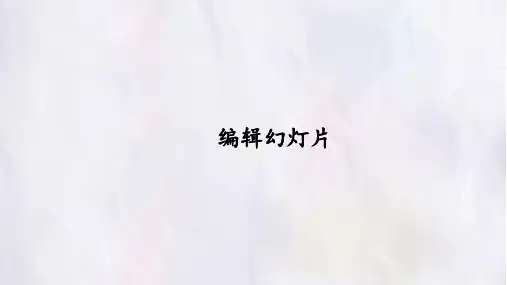 人教版高一信息技术-必修一课件-5