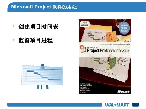 Project初级使用教程