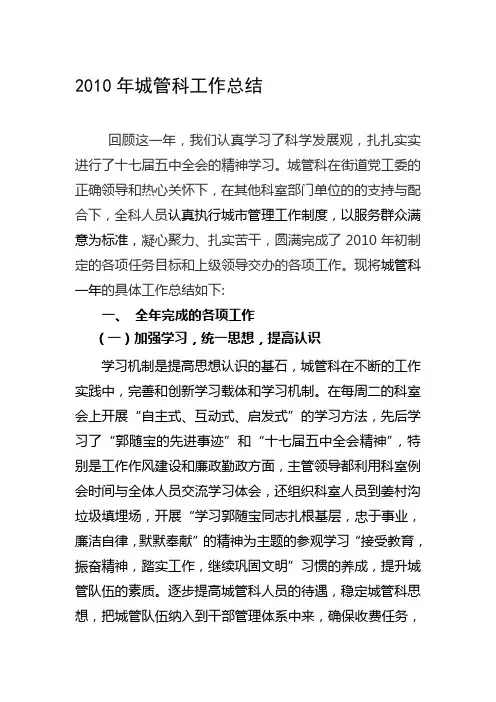 2010年城管科总结