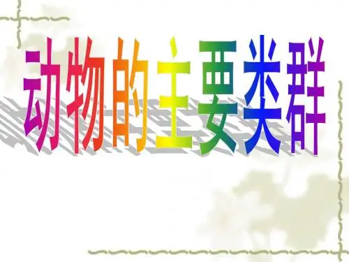 动物的主要类群复习课件(济南版)