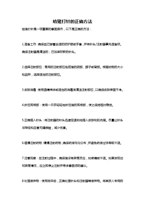 给猪打针的正确方法