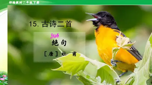 部编版语文二年级下册15 古诗二首-绝句 (课件)(19张PPT)