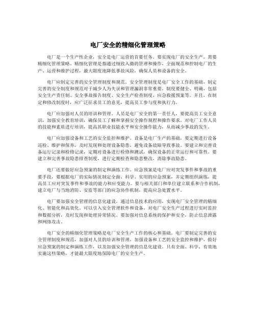 电厂安全的精细化管理策略