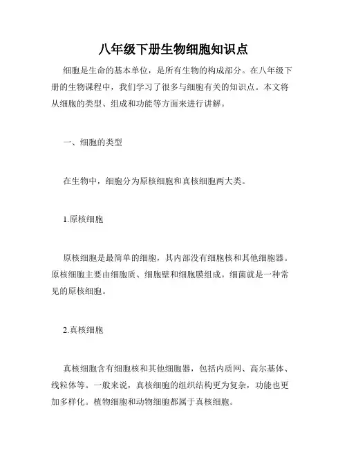 八年级下册生物细胞知识点