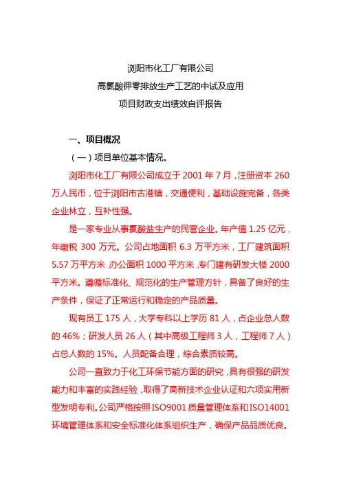 财政支出绩效报告(提纲)