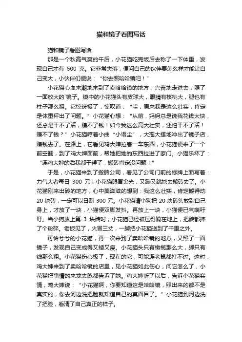 猫和镜子看图写话