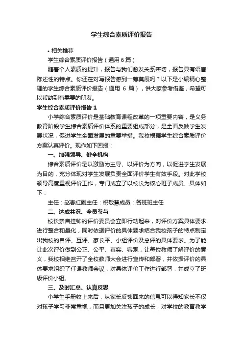 学生综合素质评价报告