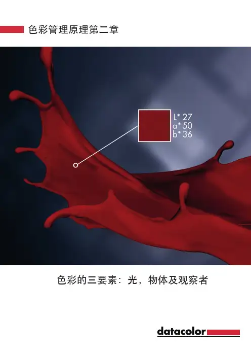 色彩管理原理第二章-Datacolor