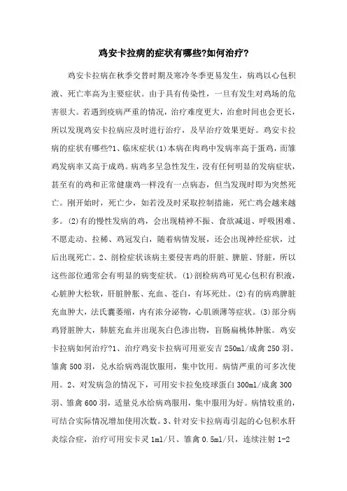 鸡安卡拉病的症状有哪些-如何治疗-