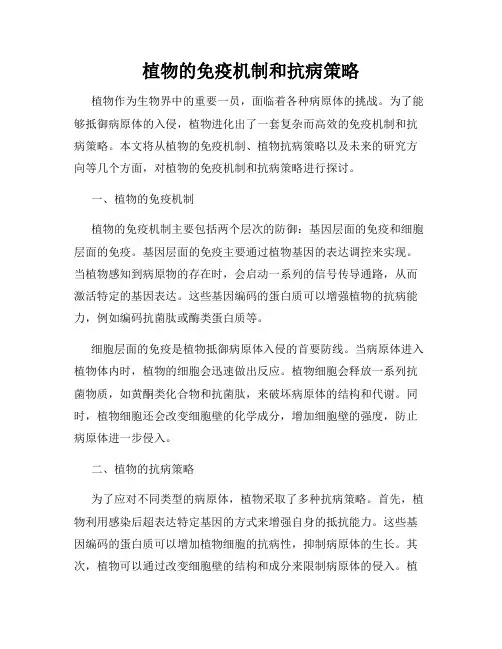 植物的免疫机制和抗病策略